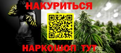 гашик Аргун