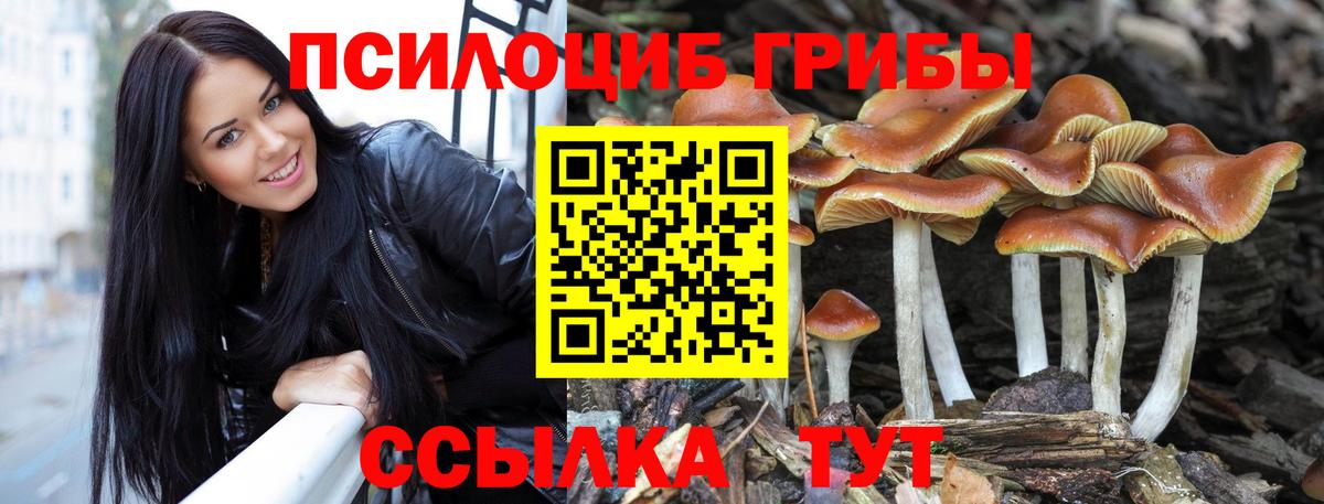Псилоцибиновые грибы ЛСД  Белореченск 